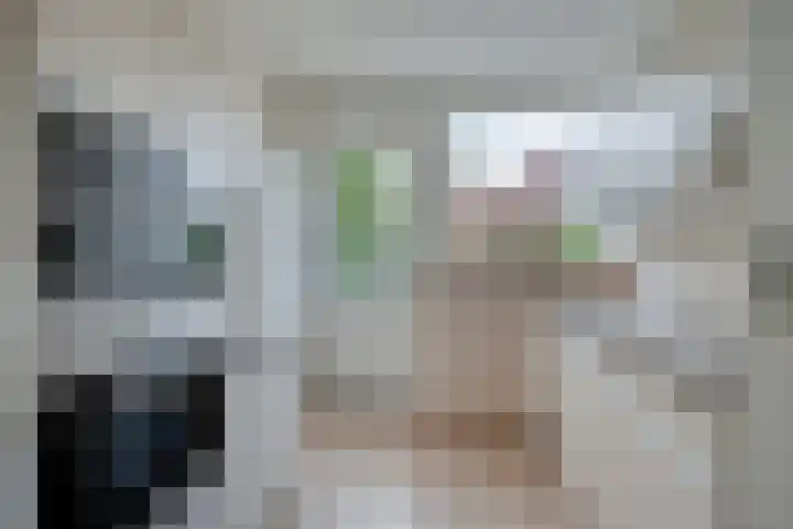 Burgemeester van Dommelenlaan 4 Waalre thumbnail 13