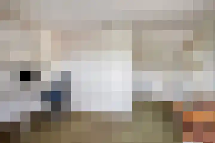 Burgemeester van Dommelenlaan 4 Waalre thumbnail 23