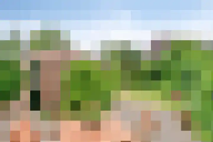 Burgemeester van Dommelenlaan 4 Waalre thumbnail 25