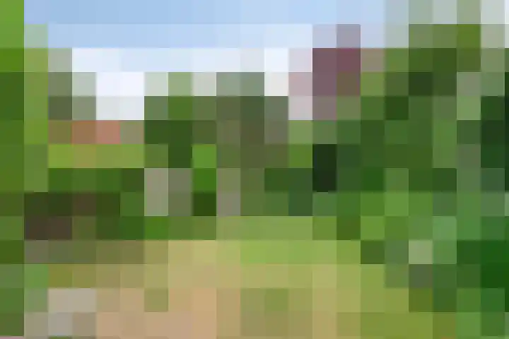 Burgemeester van Dommelenlaan 4 Waalre thumbnail 26