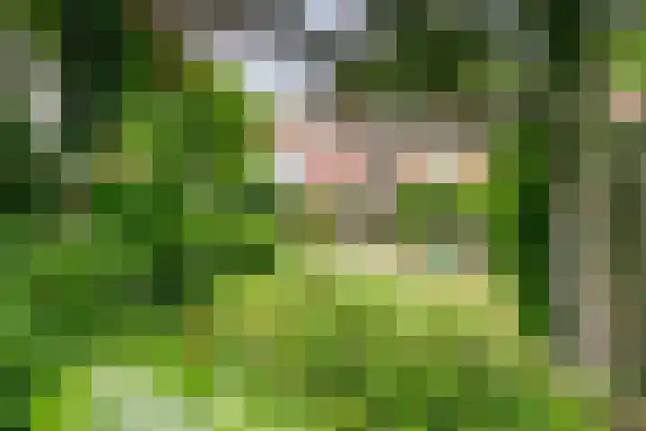 Burgemeester van Dommelenlaan 4 Waalre thumbnail 27