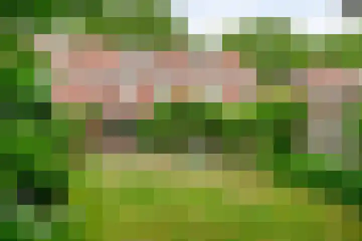 Burgemeester van Dommelenlaan 4 Waalre thumbnail 28