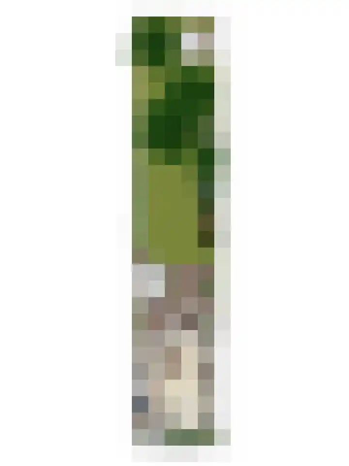 Burgemeester van Dommelenlaan 4 Waalre thumbnail 36