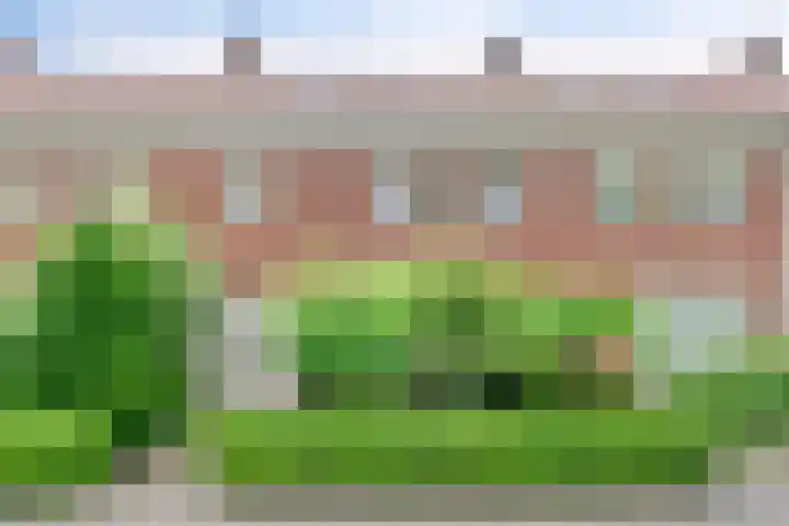 Burgemeester van Dommelenlaan 4 Waalre thumbnail 37