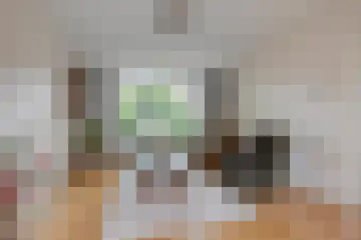 Burgemeester van Dommelenlaan 4 Waalre thumbnail 8