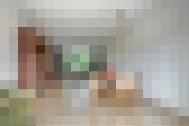 Burgemeester van Dommelenlaan 4 Waalre thumbnail 9