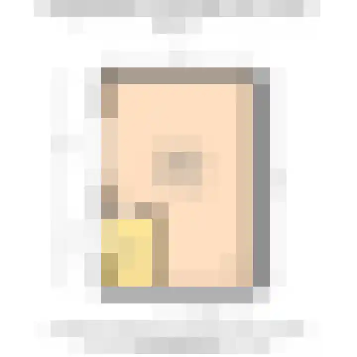 Burgemeester van Doornlaan 9 A De Lier thumbnail 64