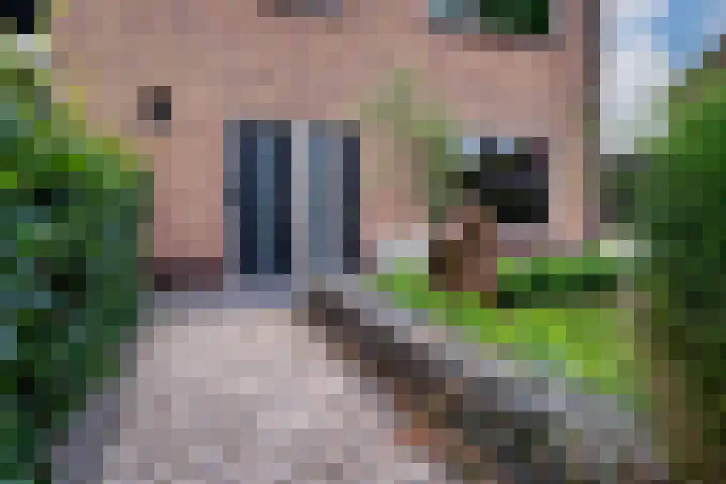 Burgemeester van Dorth tot Medlerstraat 17 Duiven thumbnail 10