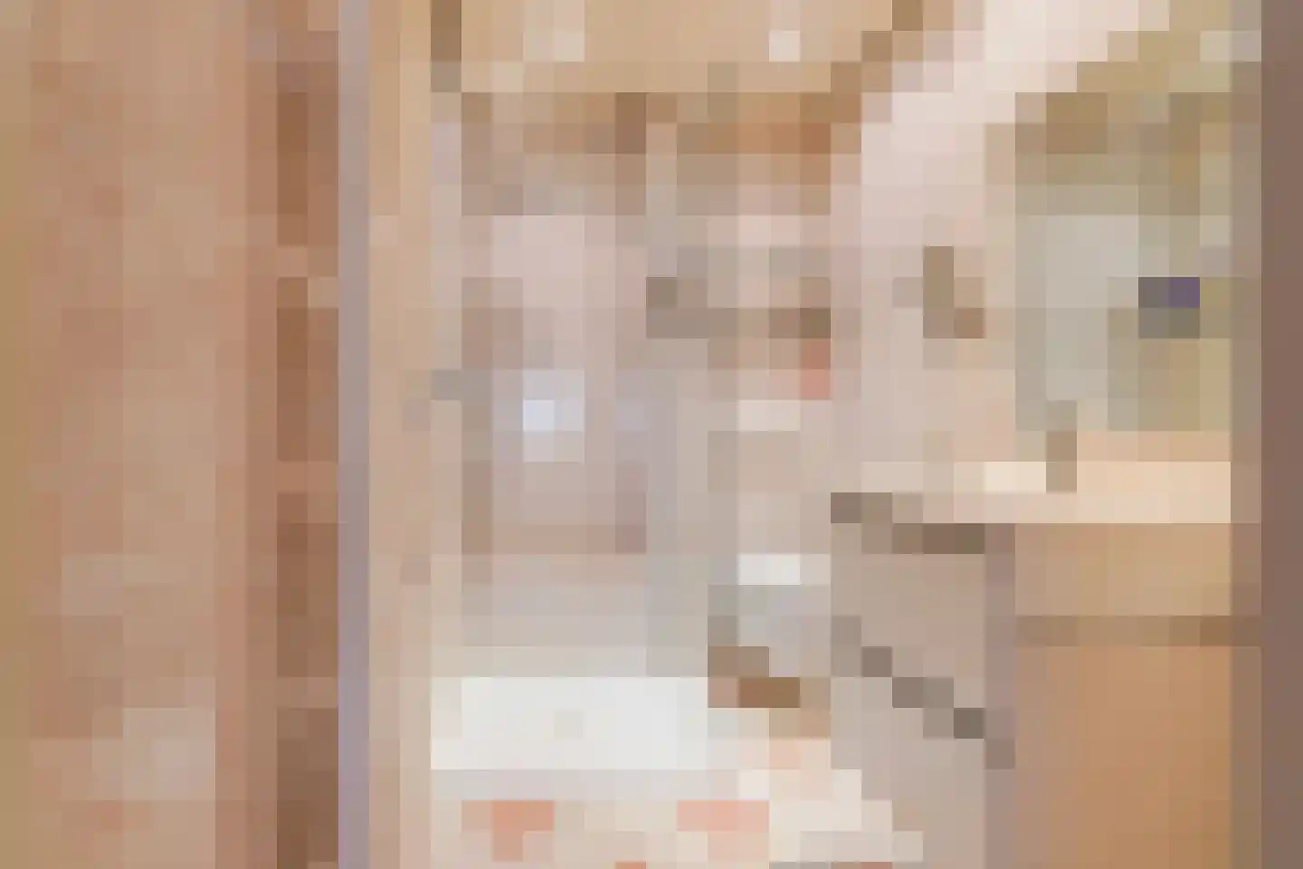 Burgemeester van Dortmondlaan 1 Kaatsheuvel thumbnail 21