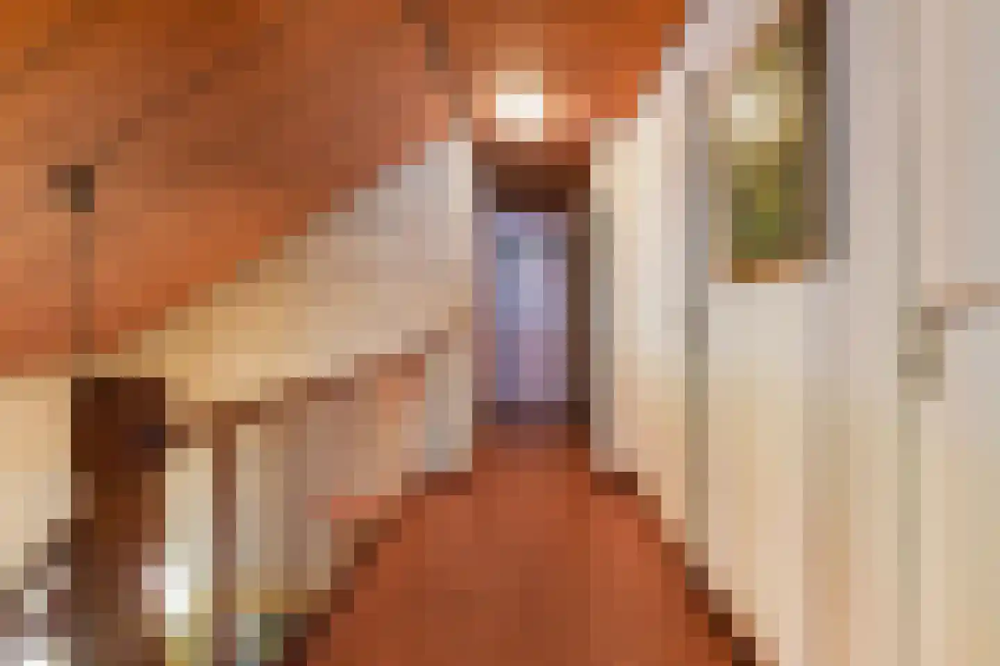 Burgemeester van Dortmondlaan 1 Kaatsheuvel thumbnail 32