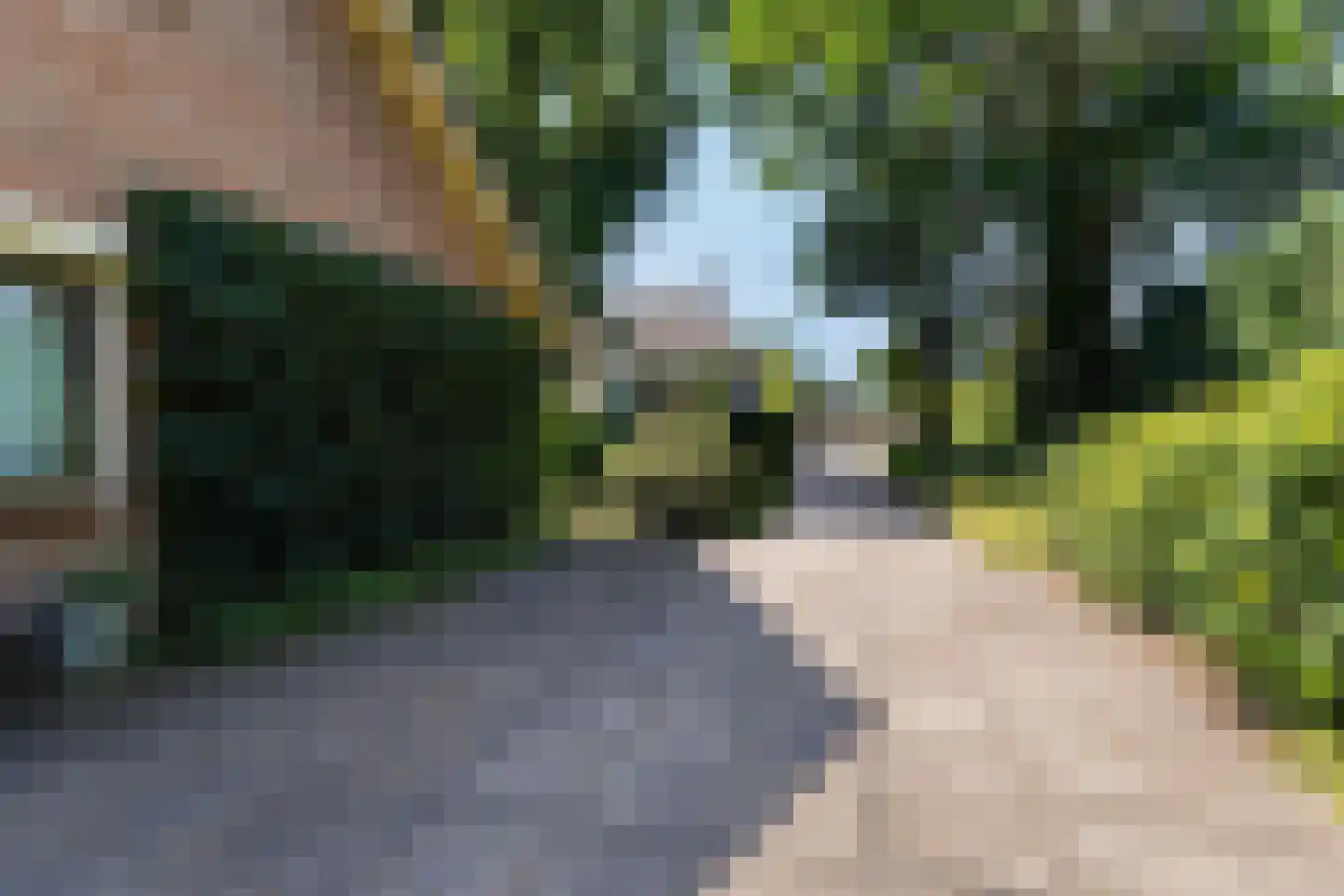 Burgemeester van Dortmondlaan 1 Kaatsheuvel thumbnail 6