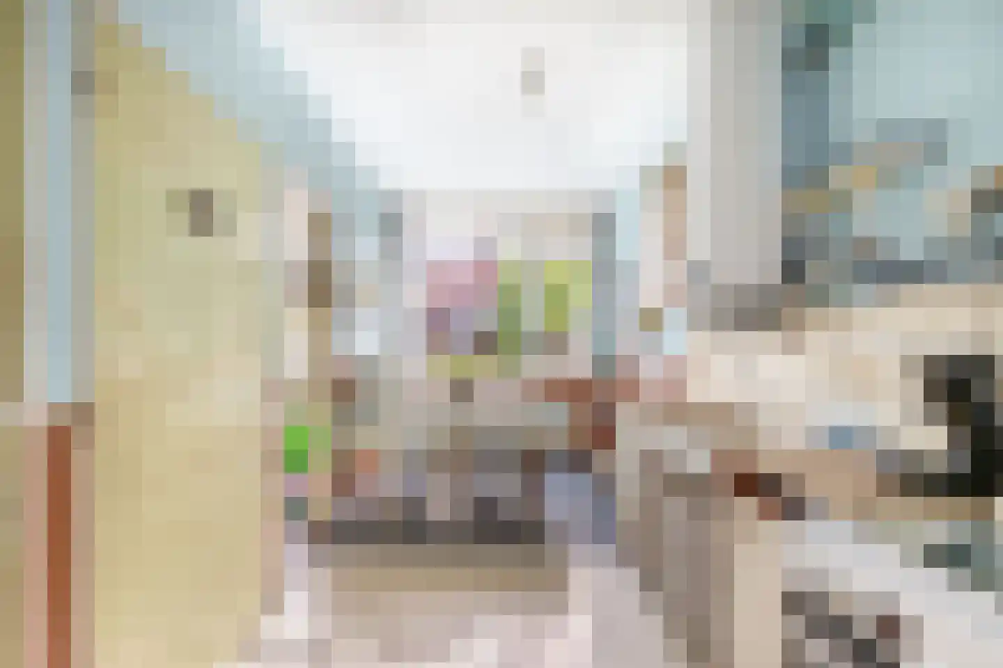 Burgemeester van Edenstraat 19 Krommenie thumbnail 16