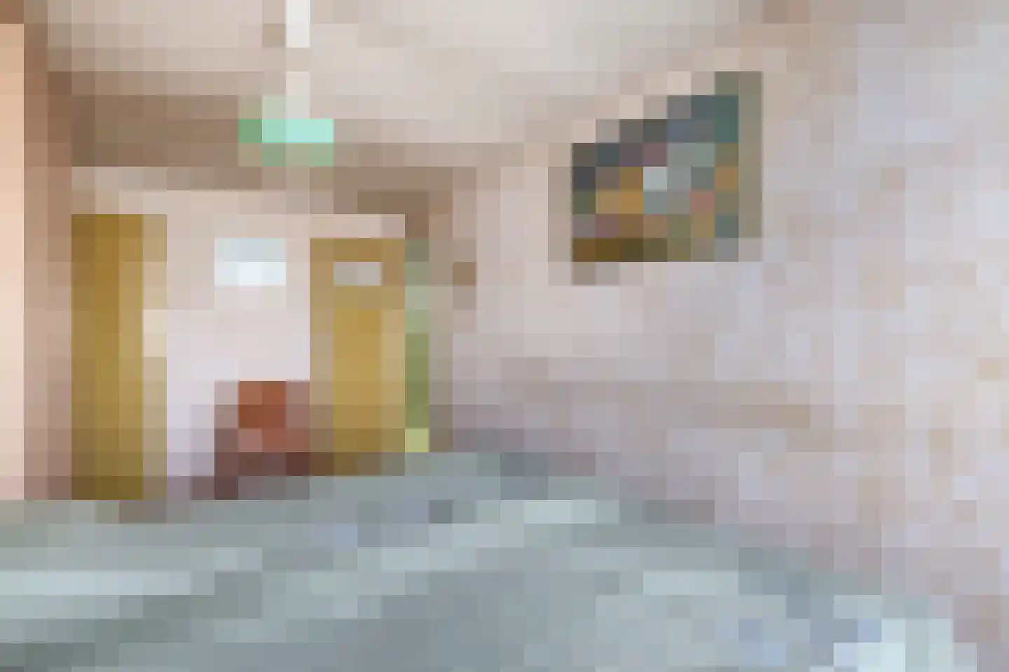 Burgemeester van Edenstraat 19 Krommenie thumbnail 24