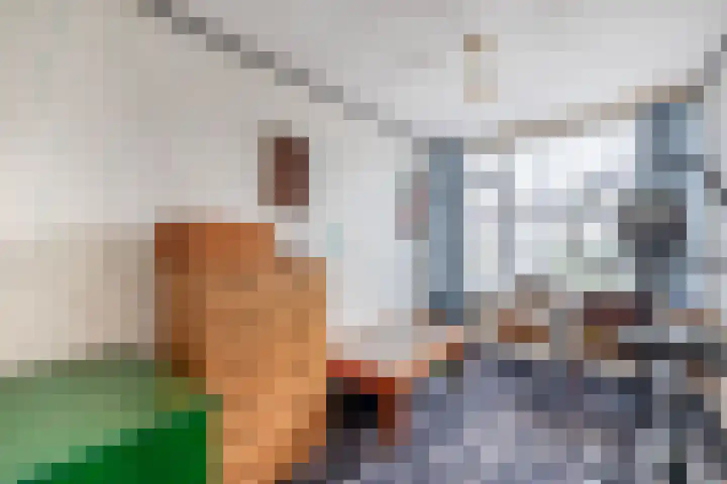 Burgemeester van Edenstraat 19 Krommenie thumbnail 26