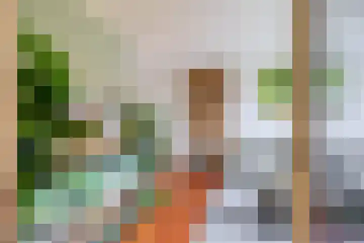 Burgemeester van Edenstraat 3 Krommenie thumbnail 11