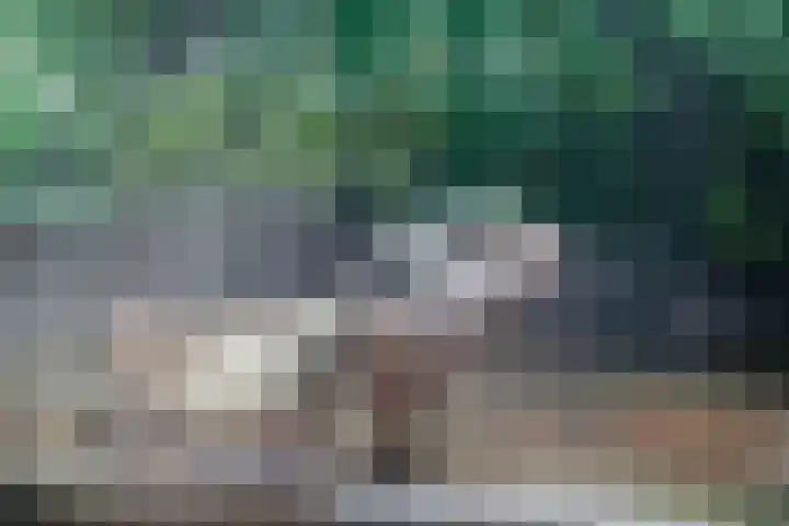 Burgemeester van Edenstraat 3 Krommenie thumbnail 12