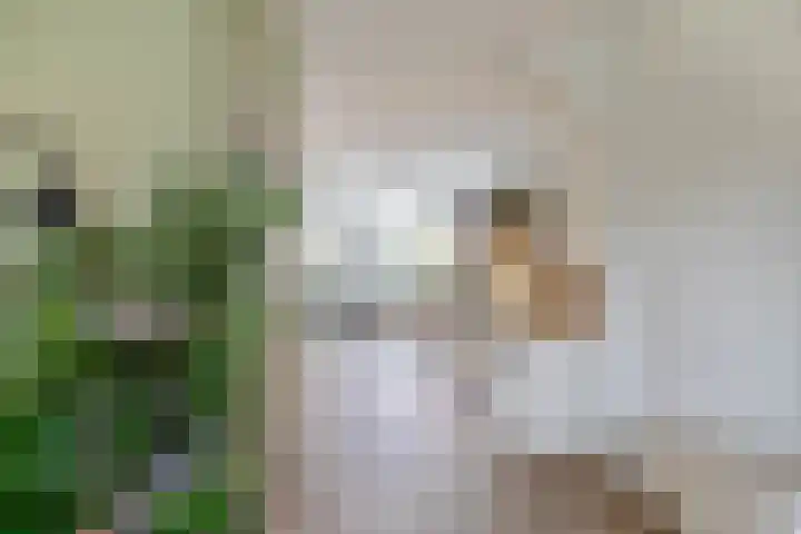 Burgemeester van Edenstraat 3 Krommenie thumbnail 13