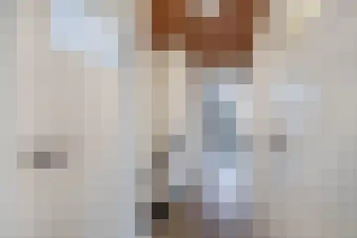 Burgemeester van Edenstraat 3 Krommenie thumbnail 22