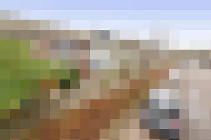 Burgemeester van Edenstraat 3 Krommenie thumbnail 6