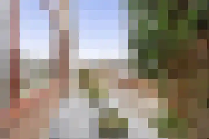 Burgemeester van Edenstraat 3 Krommenie thumbnail 8