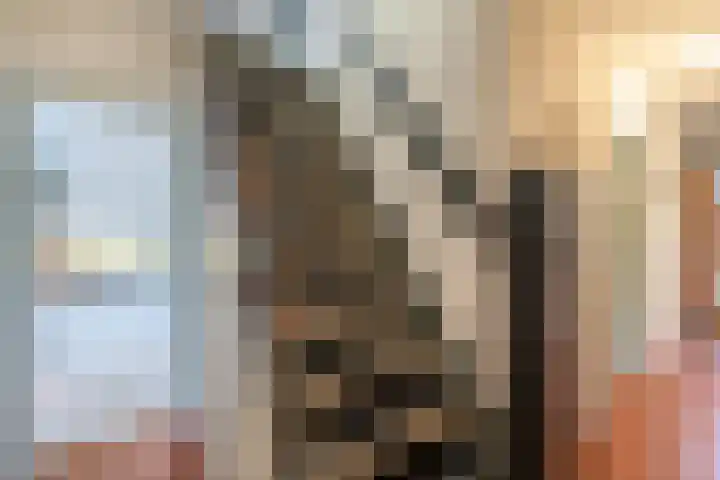 Burgemeester van Edenstraat 3 Krommenie thumbnail 9