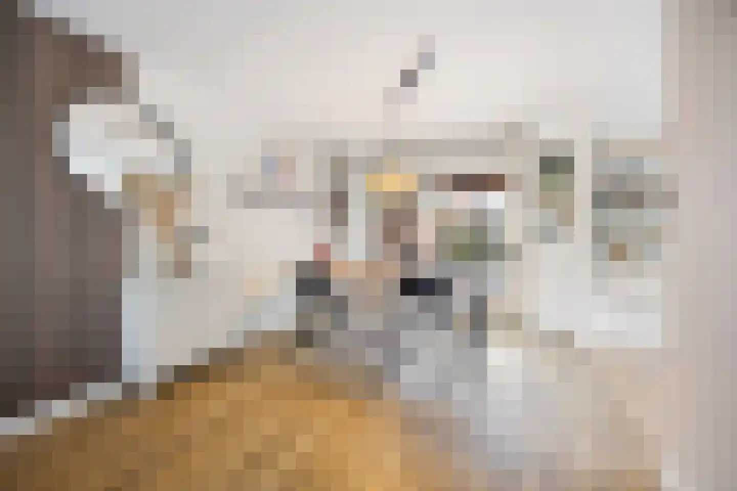 Burgemeester van Elkstraat 10 Bergharen thumbnail 10
