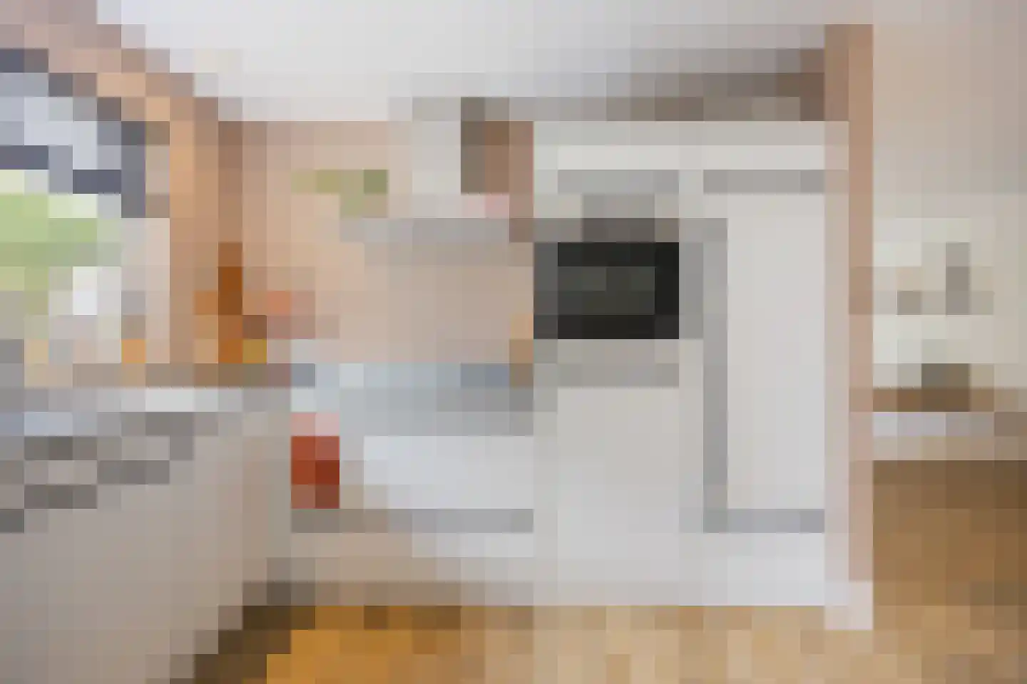 Burgemeester van Elkstraat 10 Bergharen thumbnail 16
