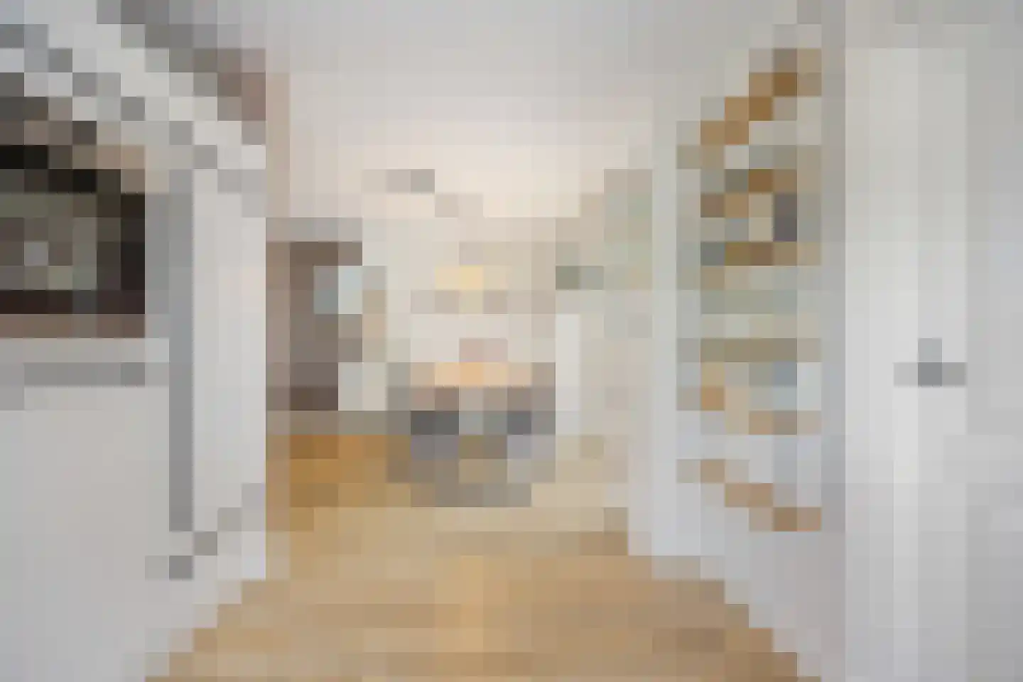 Burgemeester van Elkstraat 10 Bergharen thumbnail 17