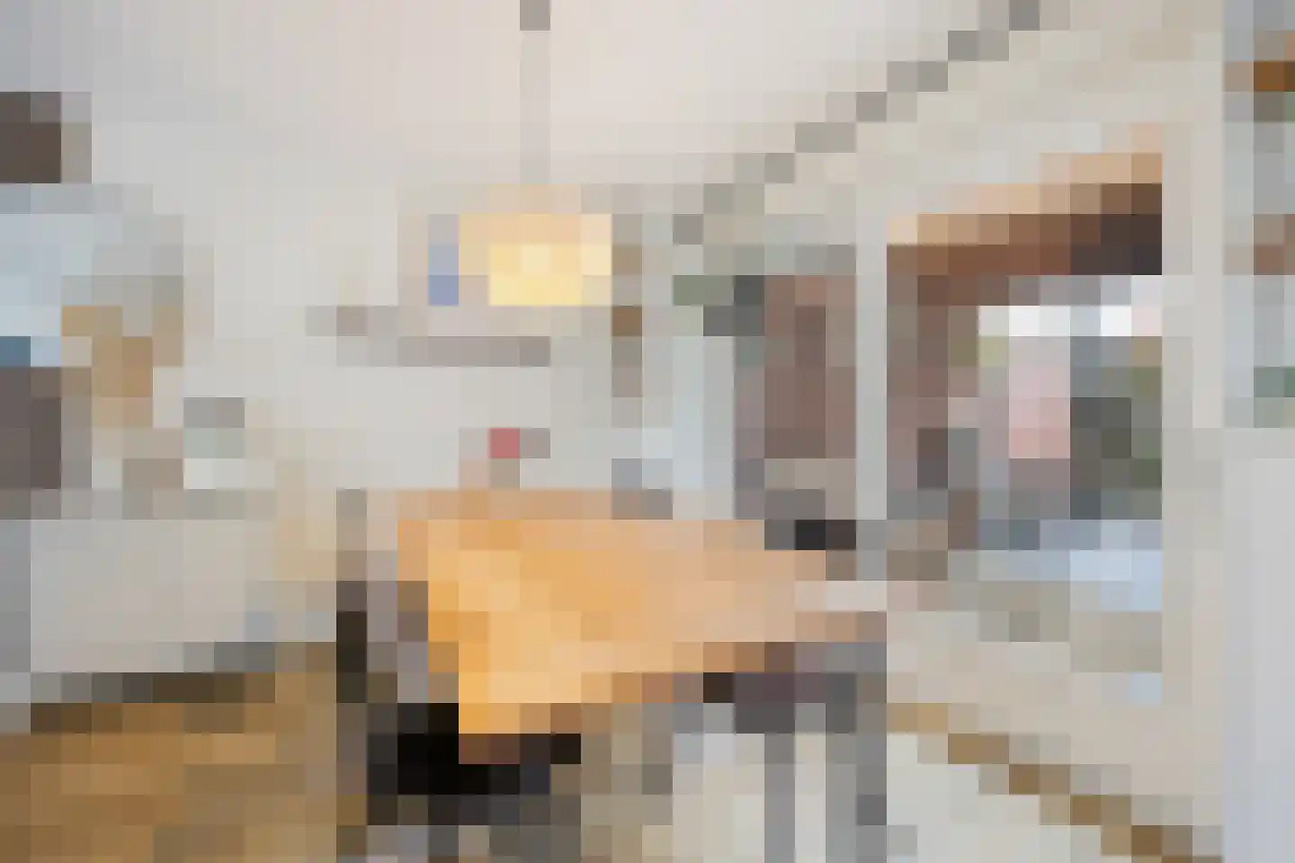 Burgemeester van Elkstraat 10 Bergharen thumbnail 18