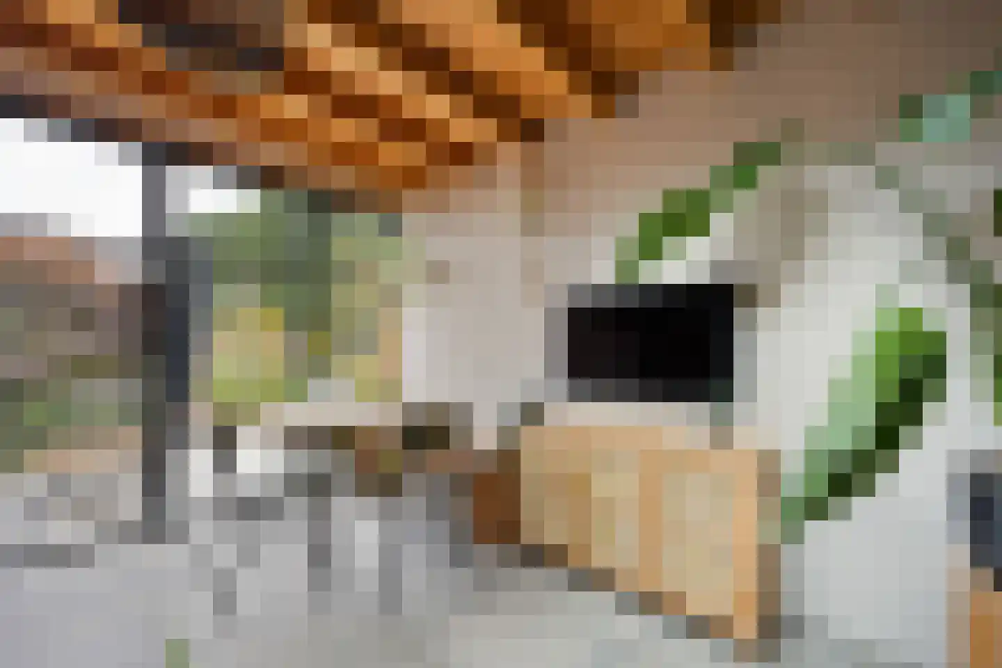 Burgemeester van Elkstraat 10 Bergharen thumbnail 22