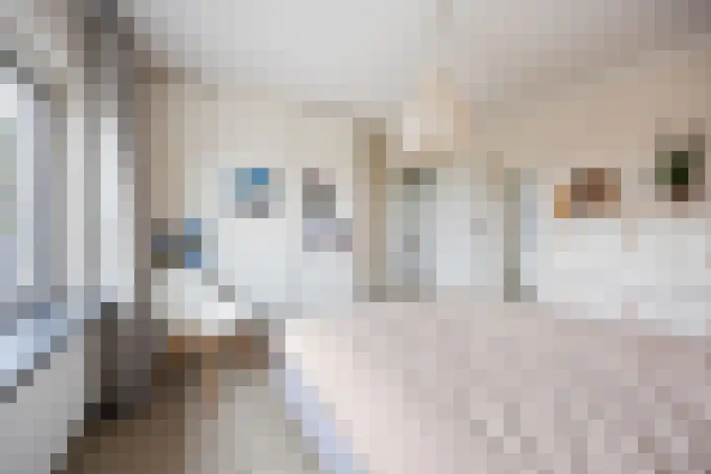 Burgemeester van Elkstraat 10 Bergharen thumbnail 34