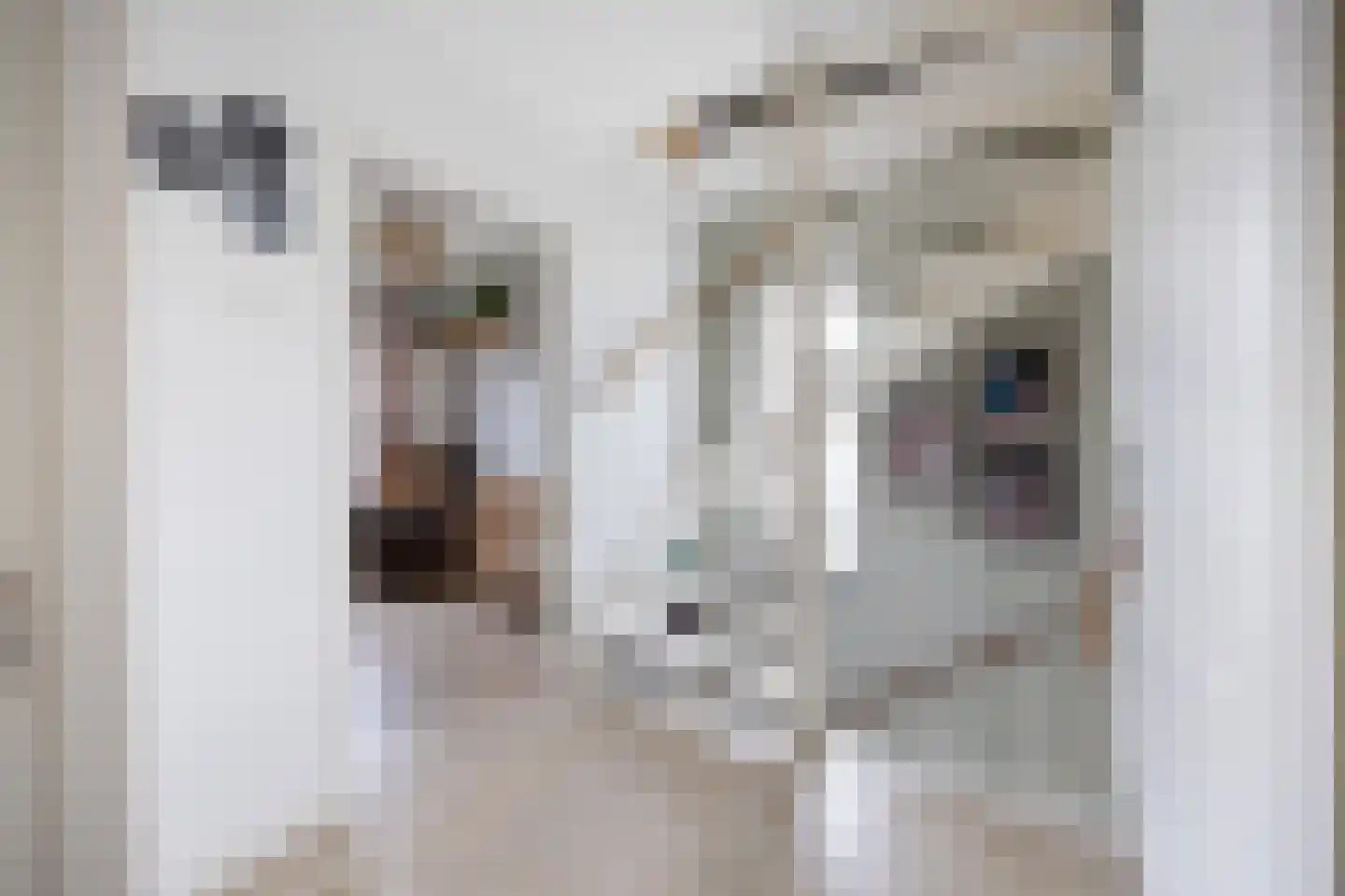 Burgemeester van Elkstraat 10 Bergharen thumbnail 40
