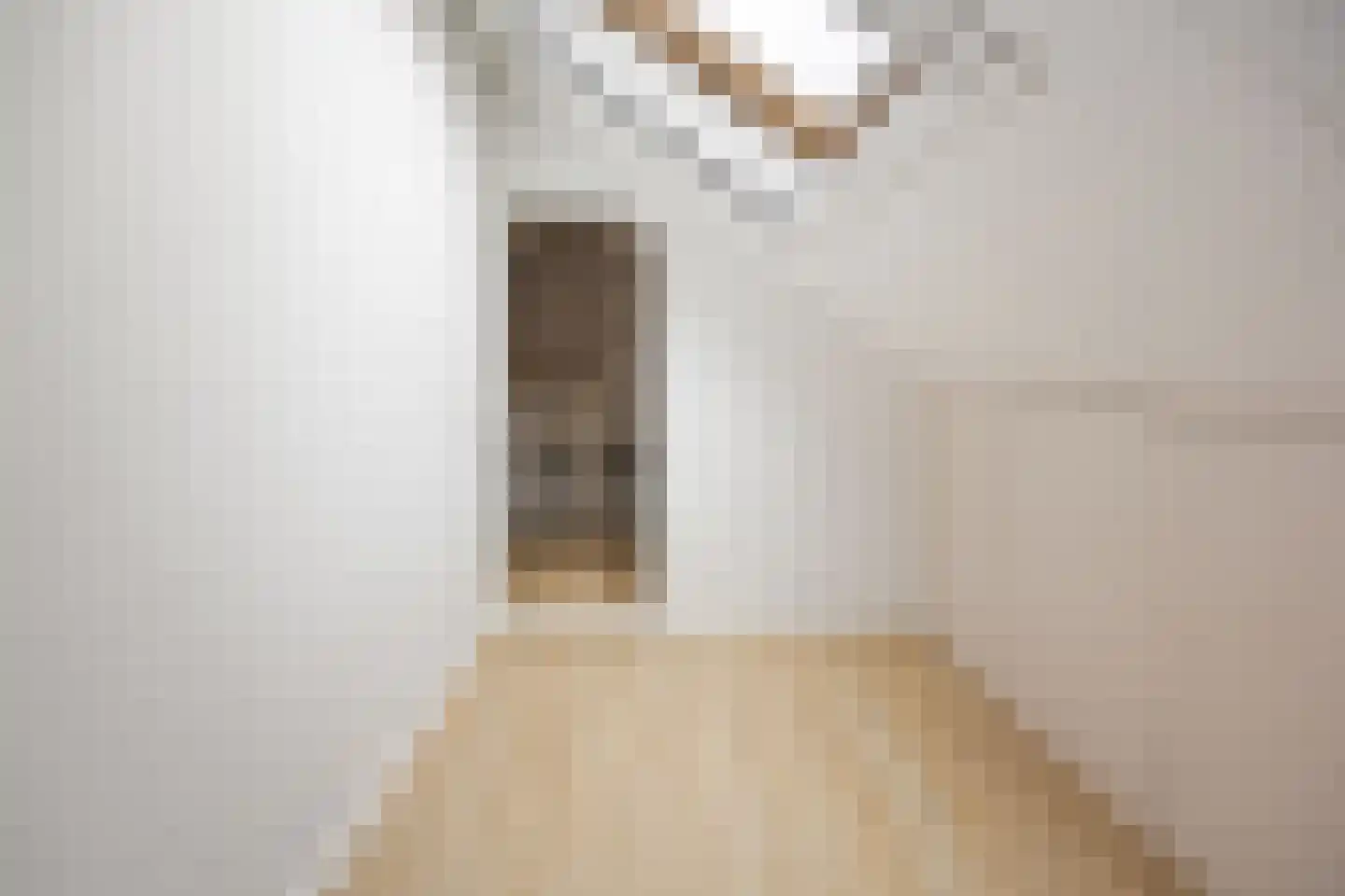 Burgemeester van Elkstraat 10 Bergharen thumbnail 48