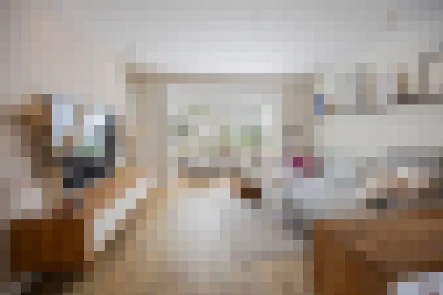 Burgemeester van Elkstraat 10 Bergharen thumbnail 6