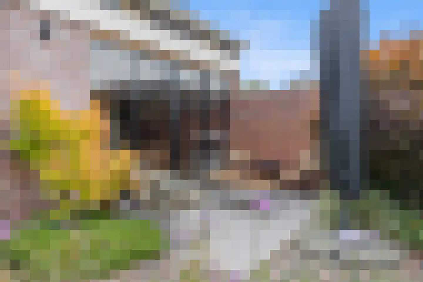 Burgemeester van Elkstraat 10 Bergharen thumbnail 65