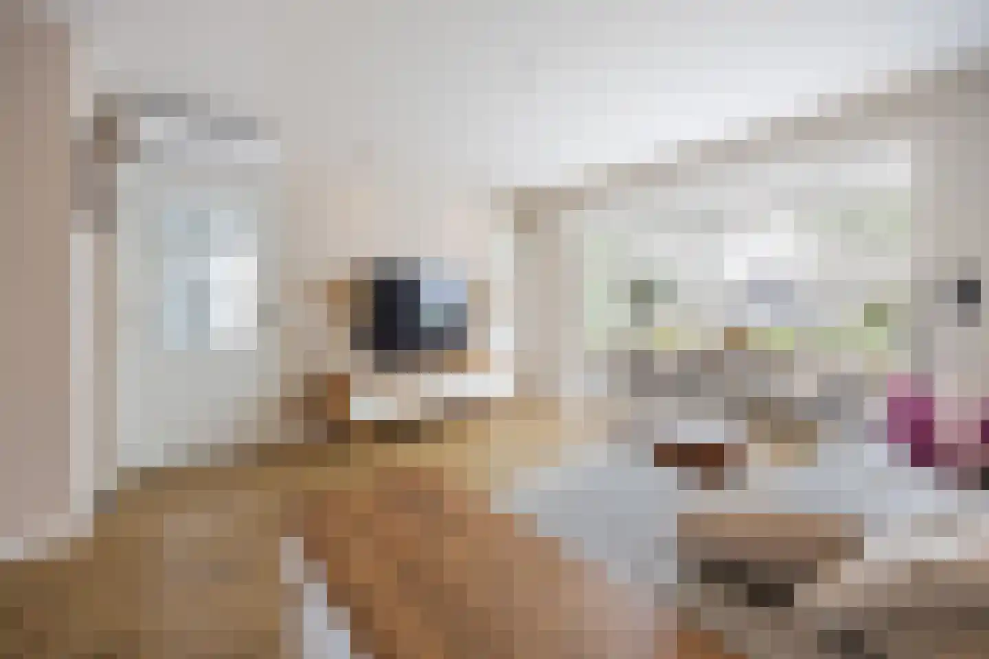 Burgemeester van Elkstraat 10 Bergharen thumbnail 7