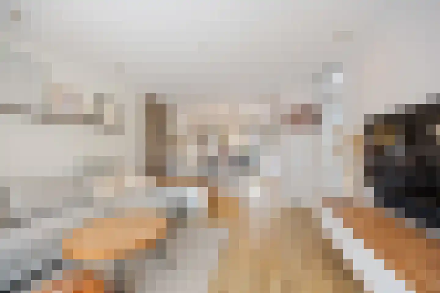 Burgemeester van Elkstraat 10 Bergharen thumbnail 9