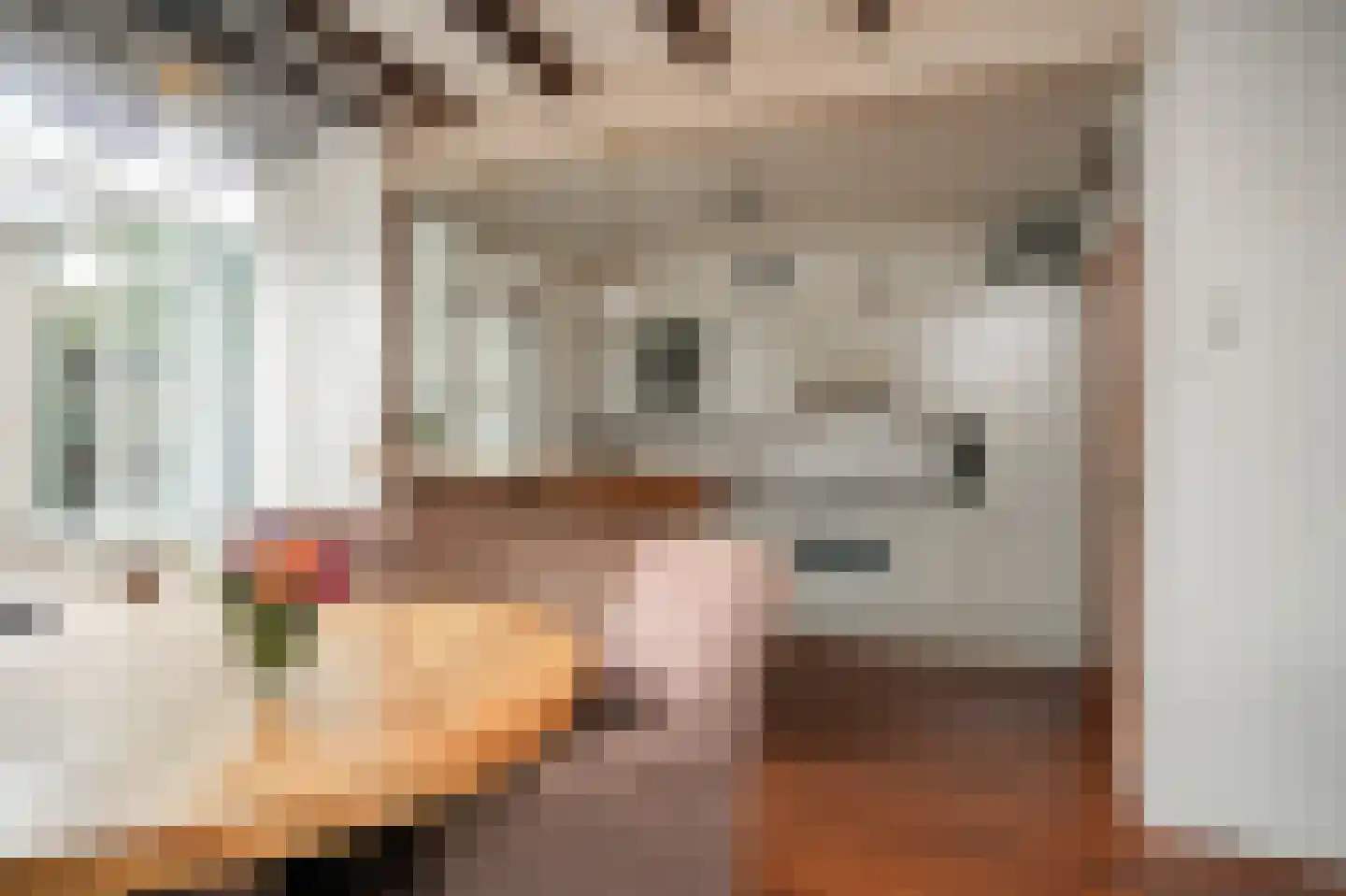 Burgemeester van Elkstraat 20 Horssen thumbnail 10
