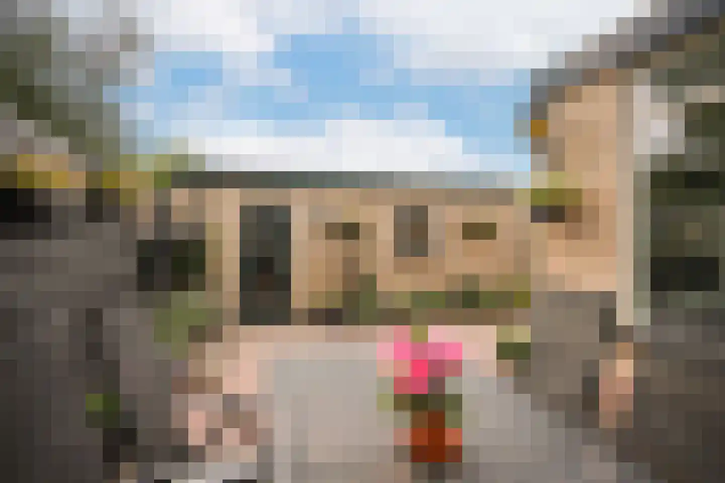 Burgemeester van Elkstraat 20 Horssen thumbnail 30