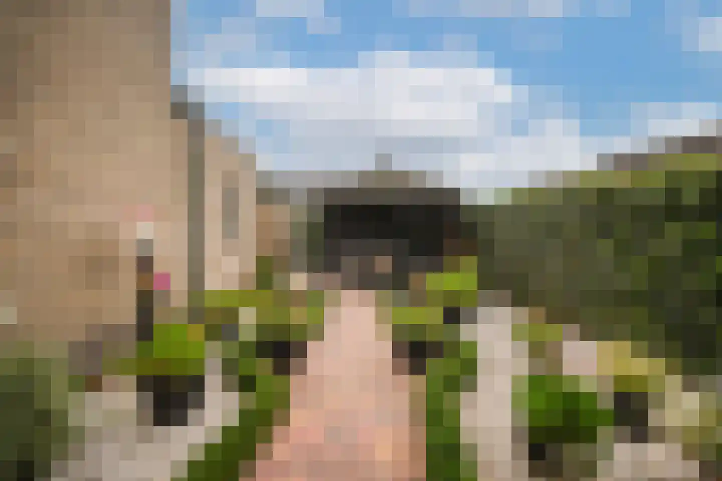 Burgemeester van Elkstraat 20 Horssen thumbnail 4