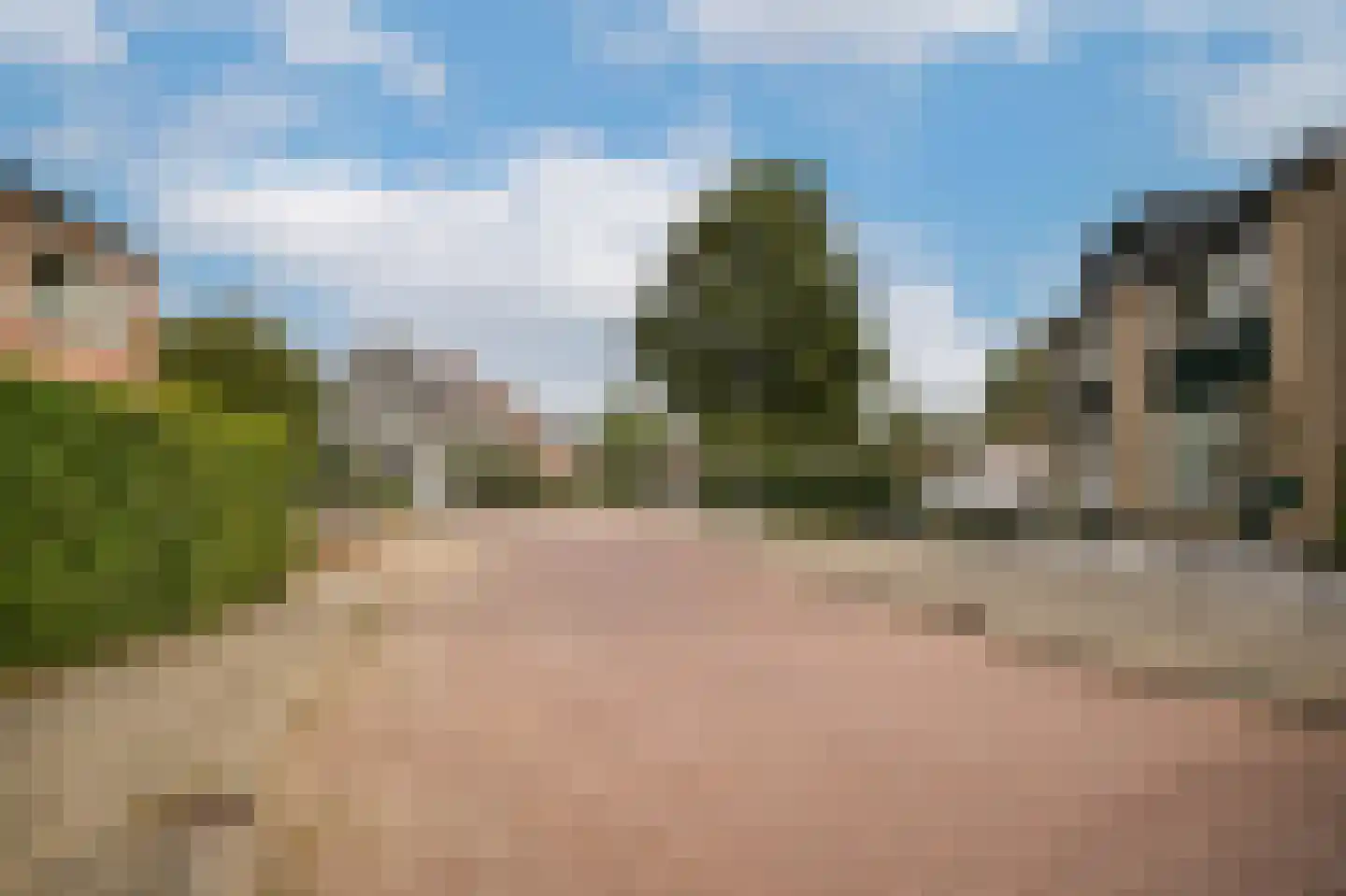 Burgemeester van Elkstraat 20 Horssen thumbnail 41