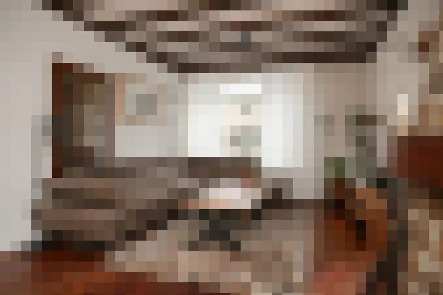 Burgemeester van Elkstraat 20 Horssen thumbnail 7
