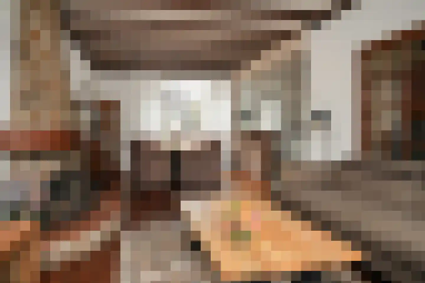 Burgemeester van Elkstraat 20 Horssen thumbnail 8