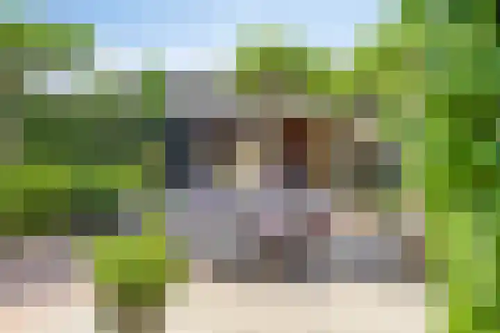 Burgemeester van Engelenweg 115 IJsselmuiden thumbnail 41