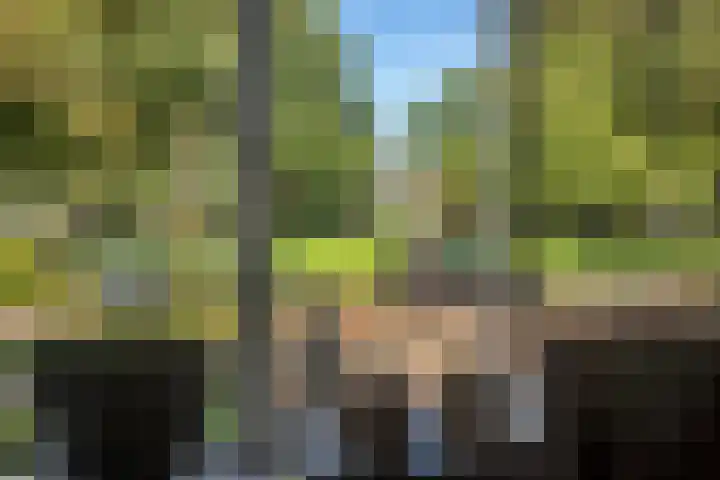 Burgemeester van Engelenweg 145 IJsselmuiden thumbnail 21