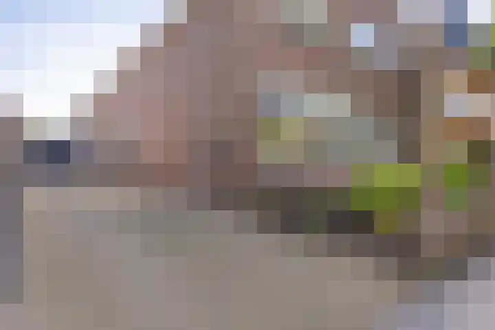 Burgemeester van Engelenweg 145 IJsselmuiden thumbnail 56