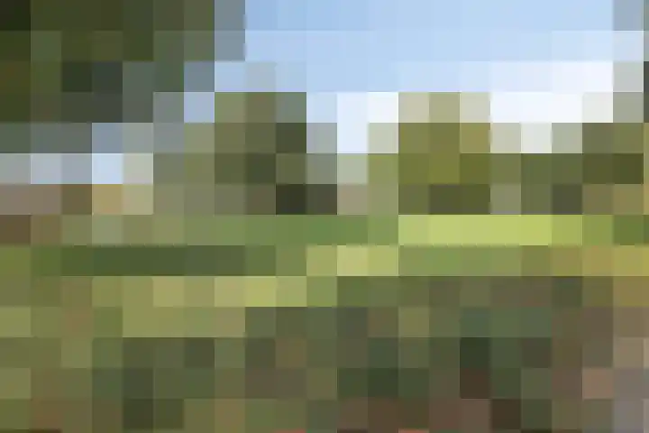 Burgemeester van Engelenweg 145 IJsselmuiden thumbnail 63