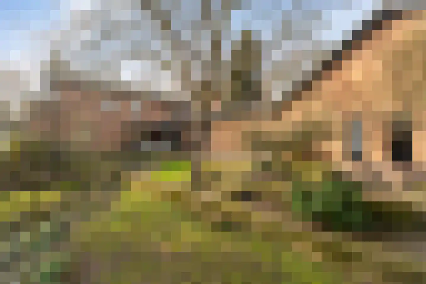 Burgemeester van Engelenweg 171 IJsselmuiden thumbnail 6
