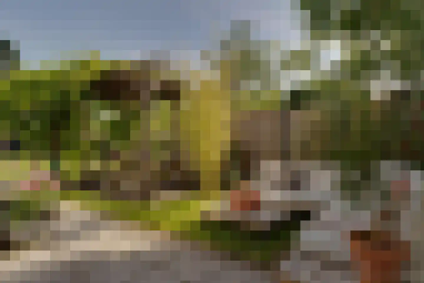 Burgemeester van Engelenweg 29 IJsselmuiden thumbnail 36