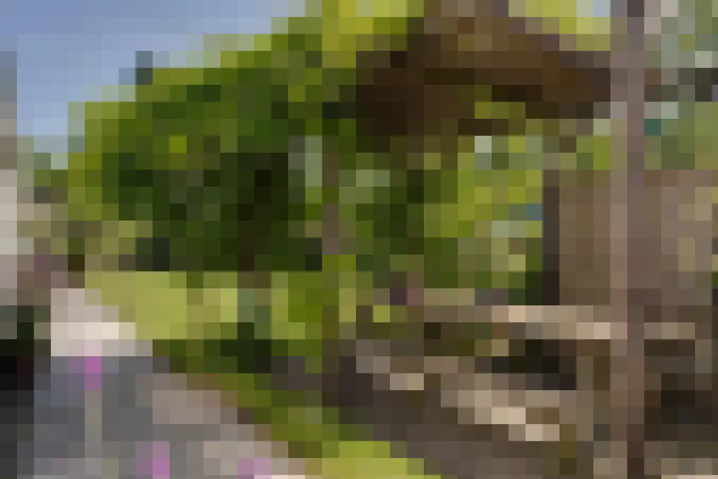 Burgemeester van Engelenweg 29 IJsselmuiden thumbnail 18